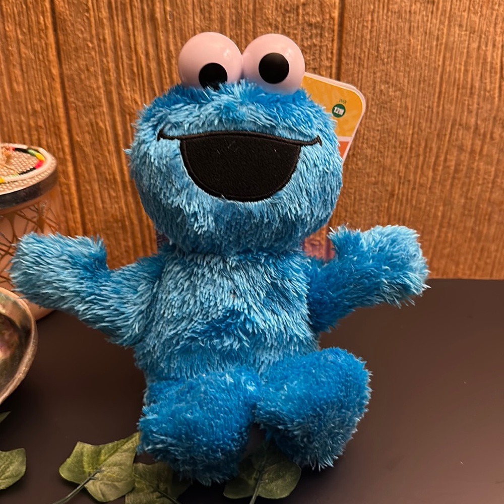 Sesame Street Cookie Monster